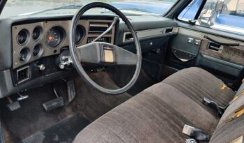 Chevrolet C10 Pick Up voll