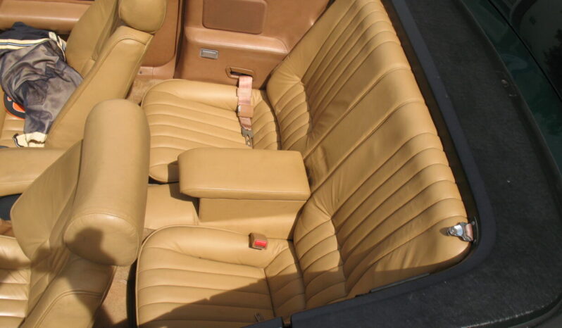 Pontiac Firebird Trans AM 5.0 V8 voll