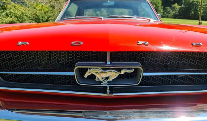 Ford Mustang V8 voll