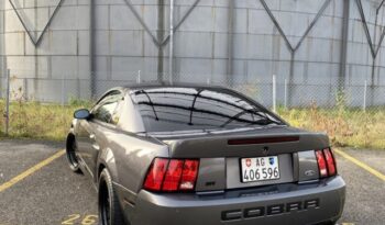 Ford Mustang SVT Cobra voll