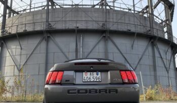 Ford Mustang SVT Cobra voll