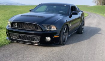 Shelby Mustang GT 500 voll