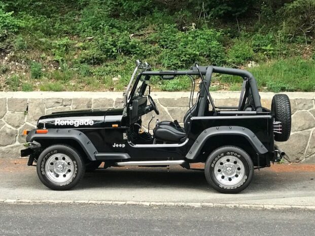Jeep Wrangler YJ voll