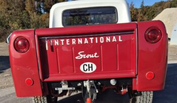 International Scout 800 voll