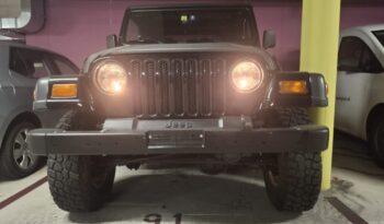 Jeep Wrangler TJ voll