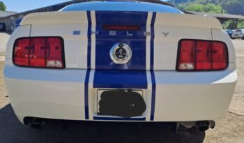 Ford Mustang GT500 Shelby voll