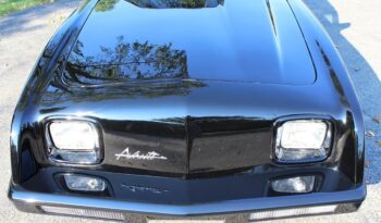 Studebaker Avanti Sedan voll