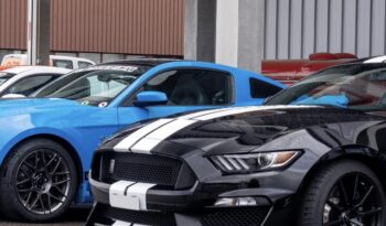 Ford Mustang GT350 voll