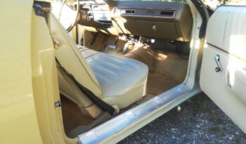 Plymouth Satellite Sebring voll