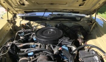 Plymouth Satellite Sebring voll