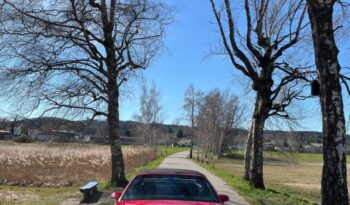 Pontiac Firebird 5.0 V8 voll
