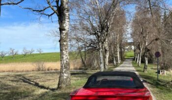 Pontiac Firebird 5.0 V8 voll